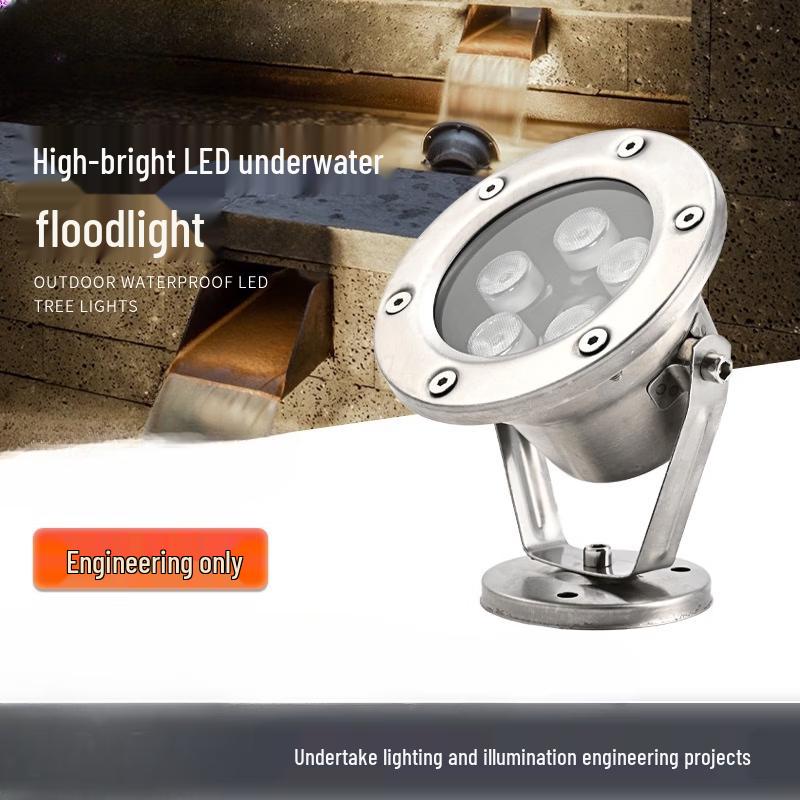 Stainless Steel Low-Voltage Underwater Light