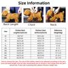 Carino Giubbotto Rinfrescante Estivo per Cani Abbigliamento Morbido a Cartoni Animati Camicie Casual Estive Cani Piccoli Medi Grandi Cucciolo Bulldog Francese Vestiti