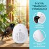 Playback Parrot Teach Talking Recording Bird Repeater Portable Bird Learning Machine  Bird Training