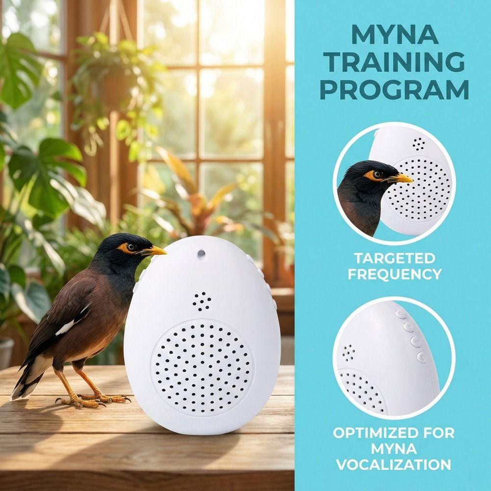 Playback Parrot Teach Talking Recording Bird Repeater Portable Bird Learning Machine  Bird Training