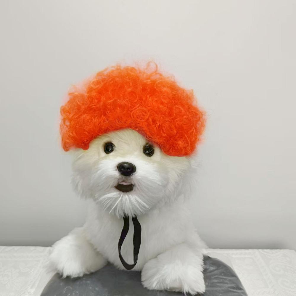 Kreative Lustige Haustierperücke Verstellbares Afro-Design Hundeperücke Elastisches Banddesign Katzenperücke Haustier Cosplay Requisiten Fotografie Scherzgeschenke