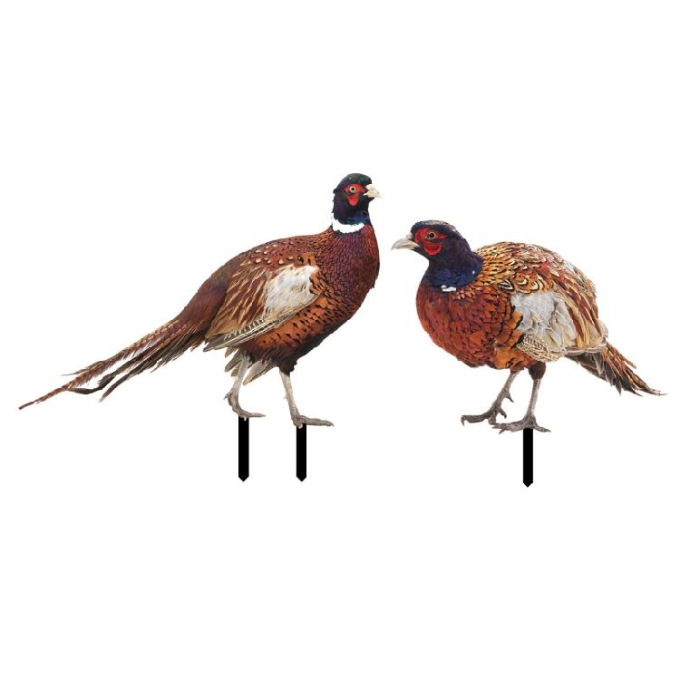 

Decorative Garden Stake Statue Yard Lawn Ornament 2 Pack Acrylic Pheasants Stake 1