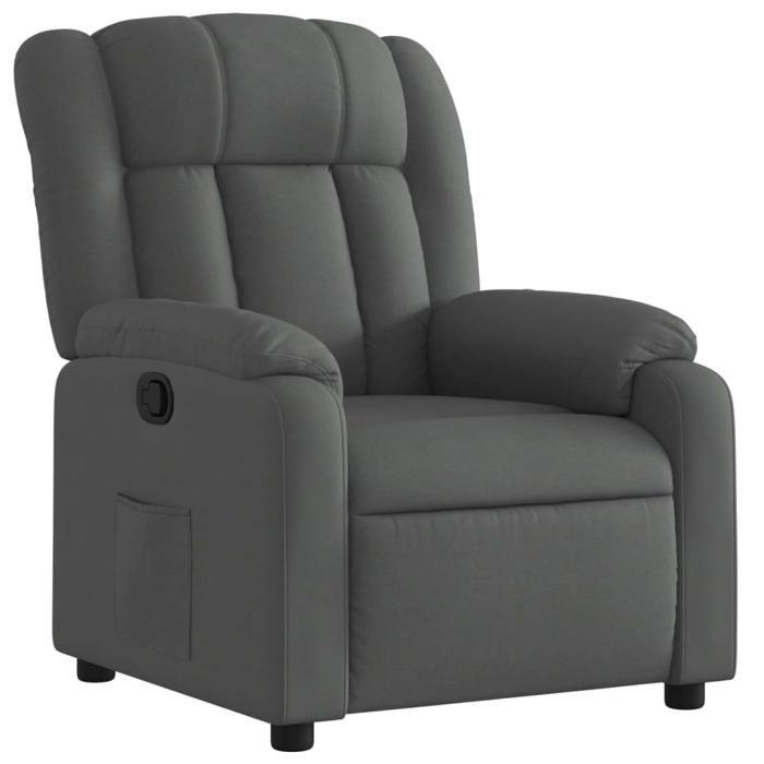 VidaXL Fauteuil Inclinable, Chaise avec Repose-pieds, Siège avec Dossier et Accoudoirs, Meuble de Salle de Séjour, Moderne, 373575