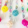 5 Pieces Interactive Ball Parrots Swing For Cage Enrichment Durable Swing Exercise Accessory