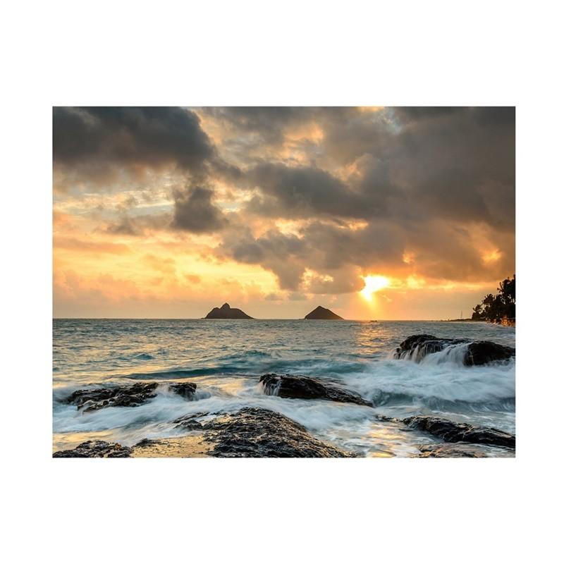 

Баннер-фон «Тропический пляж», Декор для стен для летних вечеринок, мероприятий, Фон для фотосессий, Декор в пляжной тематике, Свадьбы 5*3ft (150*100cm)