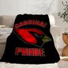 Arizona Cardinals Flag Portable Blanket/Soft Blanket Bedding Blanket Suitable for Travel Camping Living Rooms Offices Sofas Fan Gifts
