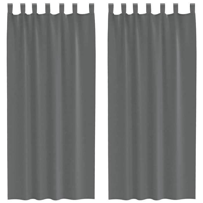 VidaXL Rideaux en voile avec boucles 2 pcs gris foncé 140x225 cm, rideau en filet, rideau transparent, voile de fenêtre, 4102273
