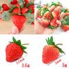 Strawberry Food 50 Realistic Strawberry Fruit S.fields.inc Samples, Pieces, Models, 3.5cm (Red)