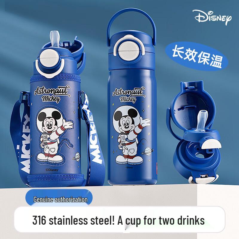 Disney Kids  316 Stainless Steel Dual-Drink Insulated Bottle