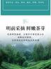 Xiaocha Diary Tea Yellow Tea Huoshan Yellow Sprout Bagged 125g Anhui Spring Tea Drink It Yourself