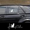 Universal Car Body Vinyl Sticker Cat Electrocardiogram Graphics Decal DIY Style Auto Window Hood Tail Tuning Accessories