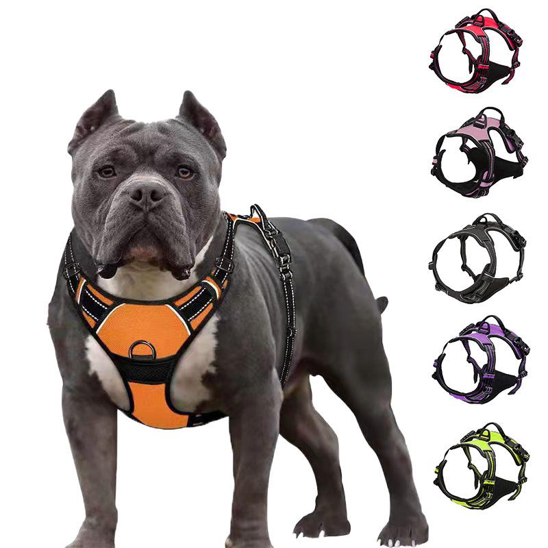 Reflective Nylon Dog Harness and Leash for Large Breeds