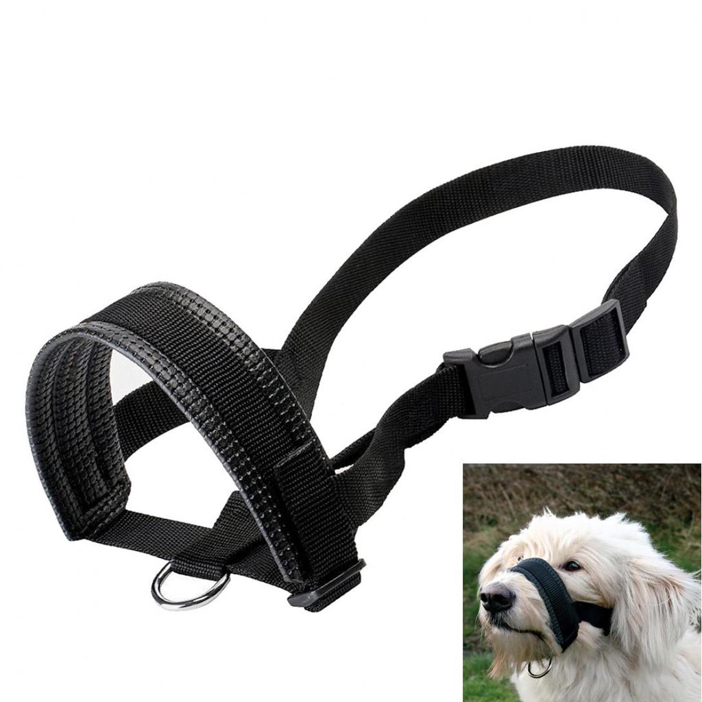 dog muzzle store