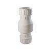 CV200C 2-Inch Compression Check Valve
