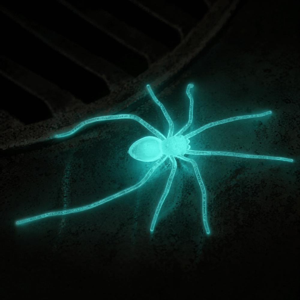 GIft Simulated Glow in The Dark Magnet Unique Lightweight Spider Fridge Magnet Small Size Cute Halloween Magnet Kitchen Decor