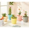 100% Virgin Plastic Round Pots for Plants|Unique Design|Indoor and Outdoor Flower Pot for Home/Office/Table/Garden