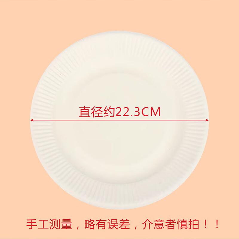 Disposable White Paper Plates