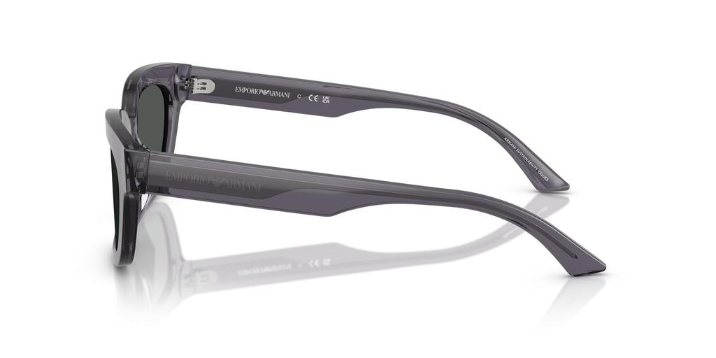 Sonnenbrille 0EA4233U TRANSPARENT GRAU 53 [Emporio Armani]