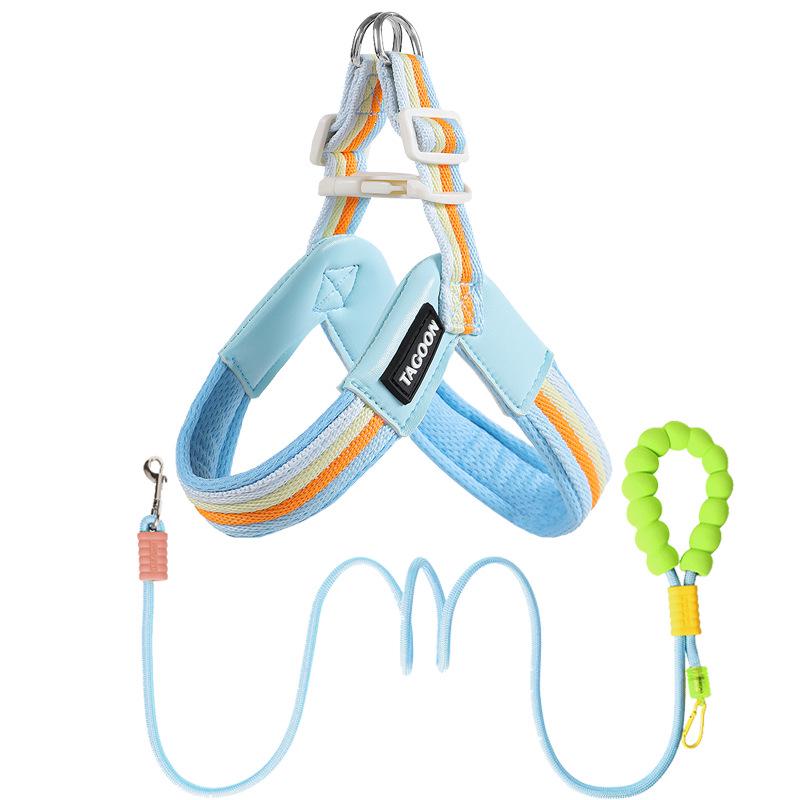 Breathable Color Block Harness & Leash for Small/Medium Dogs - Teddy, Shiba Inu