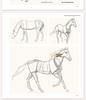 Classic Animal Sketching Techniques: Beginner's Hardcover Self-Study Guide
