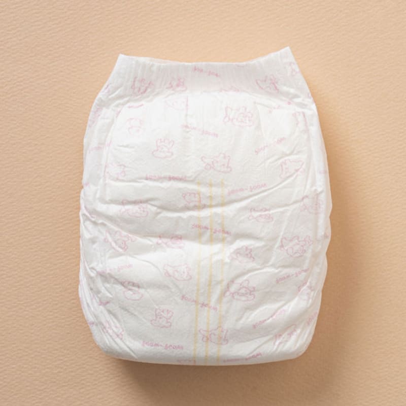 [Pet] Pet Diapers For Girls, 10 Pieces S