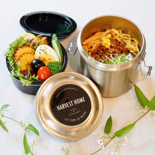 Skater STLB2AG-A Insulated Stainless Steel Bowl Lunch Box, 840ml Capacity, Vacuum Insulated, Pokemon Design