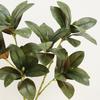 75cm Simulated Magnolia Tree Branch Real Touch Green Plants  Outdoor Garden Decor
