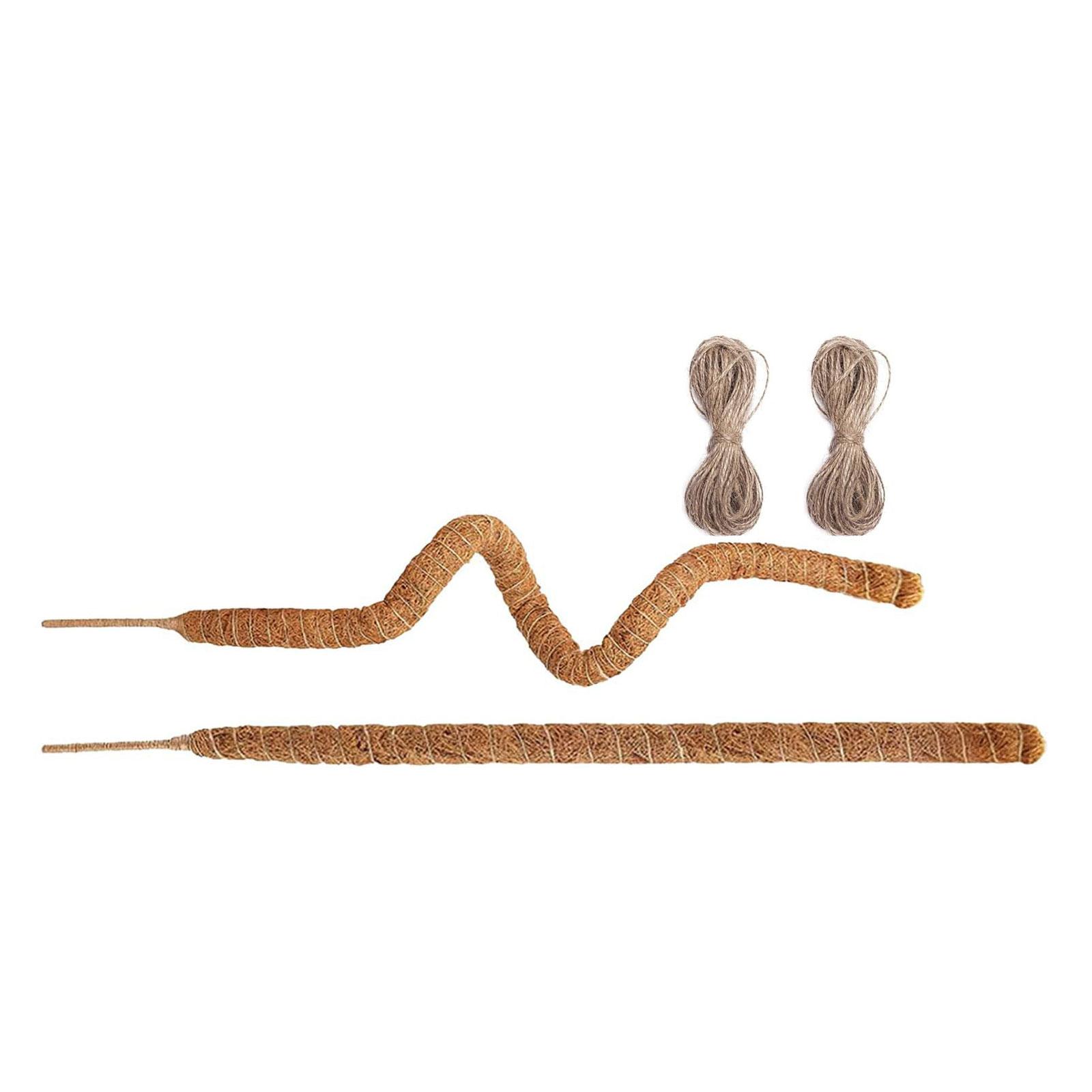 

Моховые колья для вьющихся растений Гибкие опорные колья Опора для растений Палка-подставка Решетка Колья для растений Комнатное вьющееся растение Монстера