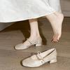Fashion Square Toed Thick Soled Single Shoes for Women Spring 2025 New Shallow Comfortable Fashion Elegant Single Buckle Mary Jane Shoes