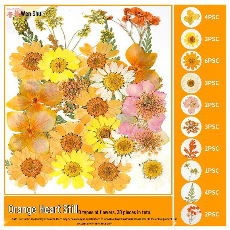 Handmade Pressed Flower Bookmark and Epoxy Sticker Pack with Real Leaf and Plant Specimens for DIY Face Makeup.