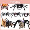 Realistic Spider Legs Design Pet Costume