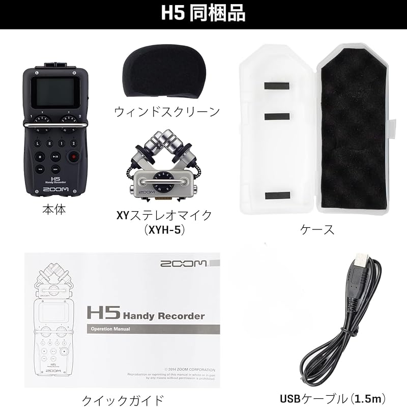 ZOOM H5 Handy Recorder, Interchangeable Microphone, 4-Track Recording, ASMR