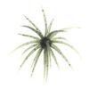 10Pcs TPE Sea Urchin Fishing Lures 4/7cm Soft Silicone Lifelike Baits for Saltwater Bream Offshore Fishing