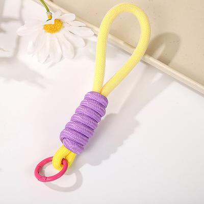 Mesh Lanyard Fluorescent Braid Rope Phone Case Hanging Cord Keychain Bag Pendant Keychain