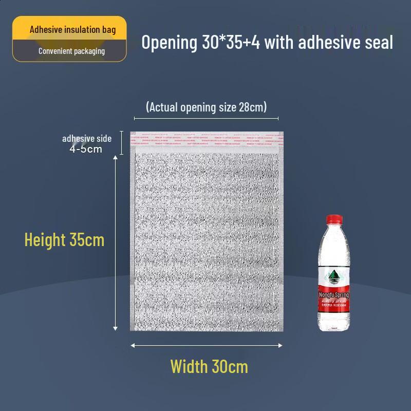 Disposable Aluminum Foil Insulated Bag