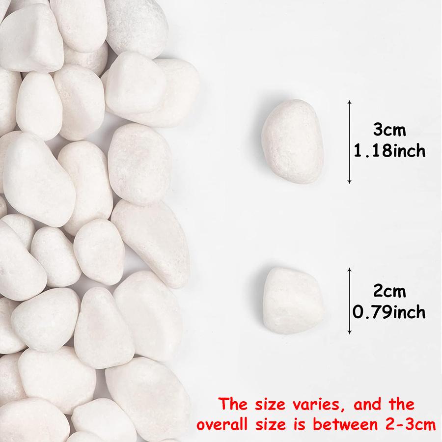 200g White Polished Natural River Pebbles 2-3cm Decorative Stones for Planters Aquariums Garden ZSY