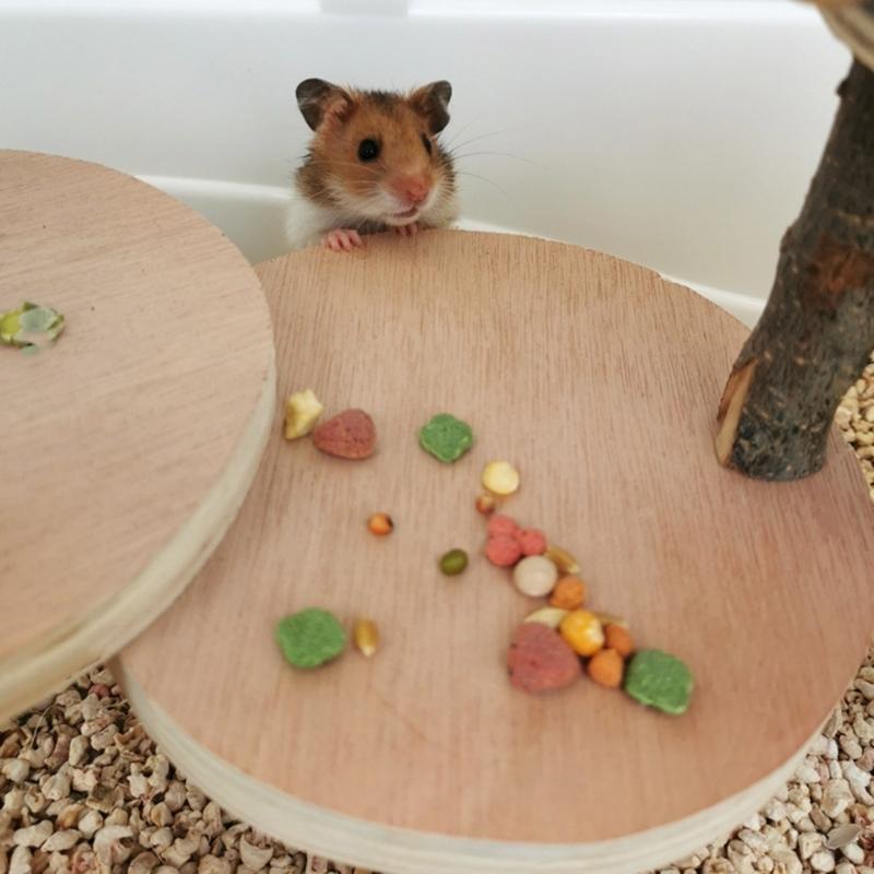 Durable Wood Hamster Toy Designed to Withstand Chewers and Provide Long Lasting Fun Any Hamster Habitat Entertainment