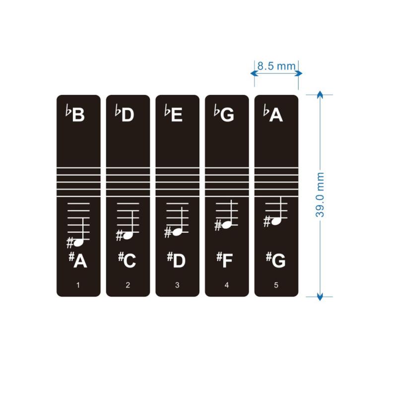 Piano Keyboard Sticker 88/61/54/49 Key Electronic Keyboard Key Piano Stave Note Sticker Musical
