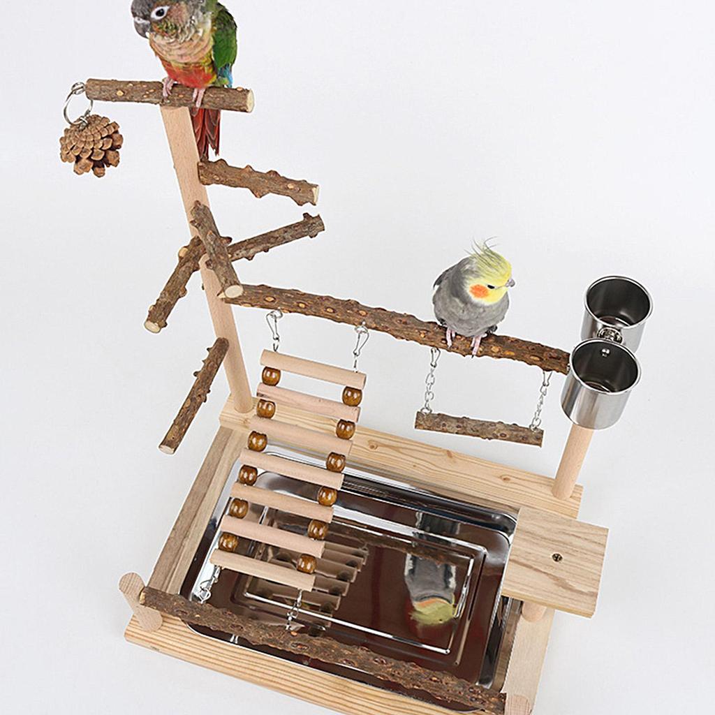 Bird Playground Wooden Play Gym Parakeet Swing With Stainless Steel Cup And Tray For Cockatiel Conure Finch Lovebird Exercise