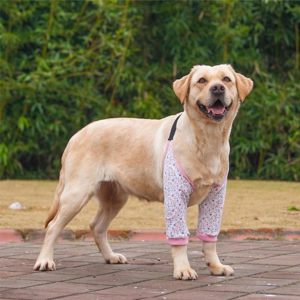 Practical Cartoon Pattern Dog Elbow Sleeves Soft Brace Dog Elbow Protector Shoulder Support Cotton Pet Knee Pads for Elbow Brace