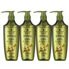 Schwarzkopf Ginger Essence Oil Control Shampoo