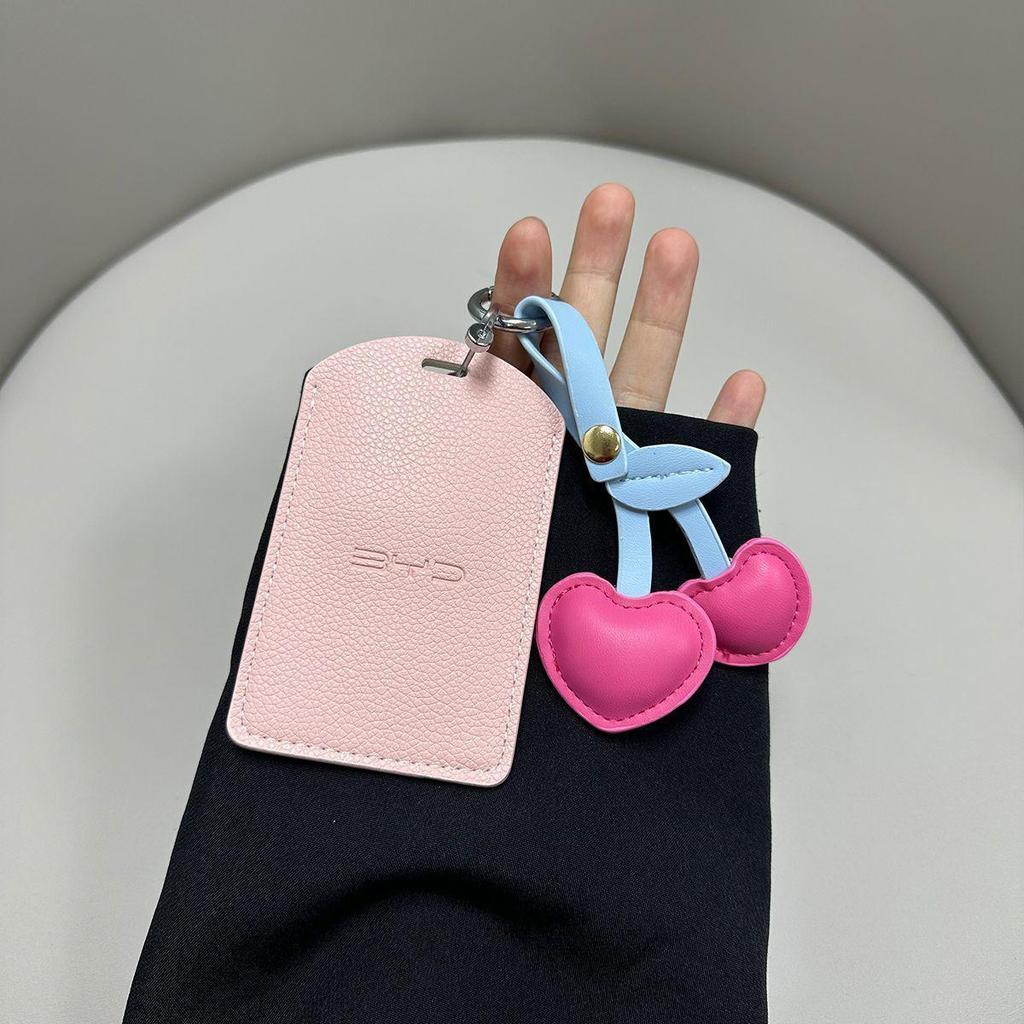 BYD Seagull, Han, Song Plus, Dolphin, Qin Plus, Qin Lpro Car Key Case & Holder.
