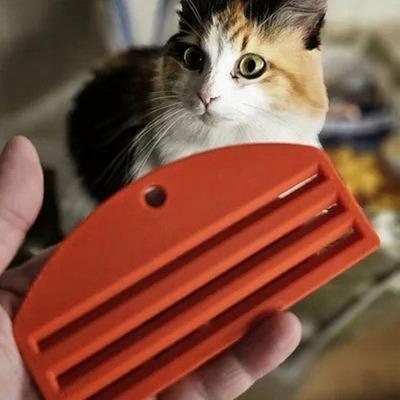 Gatti – Prodotti per la cura dei gatti