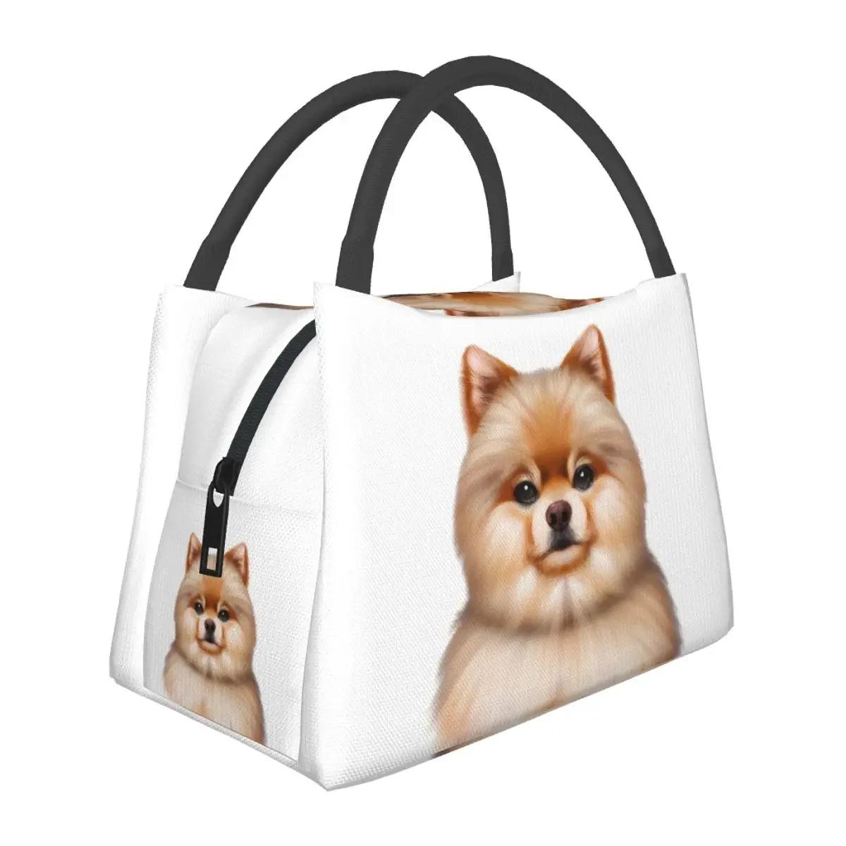 

Милые сумки для ланча с рисунком померанского шпица, изолированные коробки для ланча Bento, сумки для пикника, термосумки-холодильники для женщин, детей, школ 28x17x16cm
