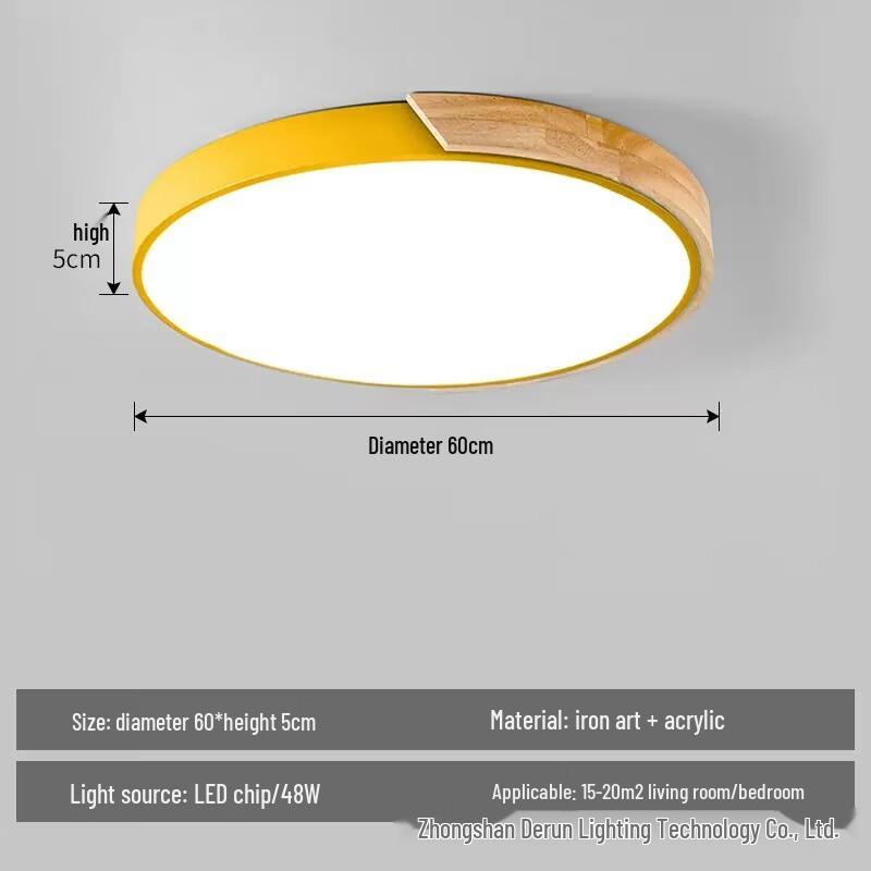 Nordic Modern LED Ceiling Lamp