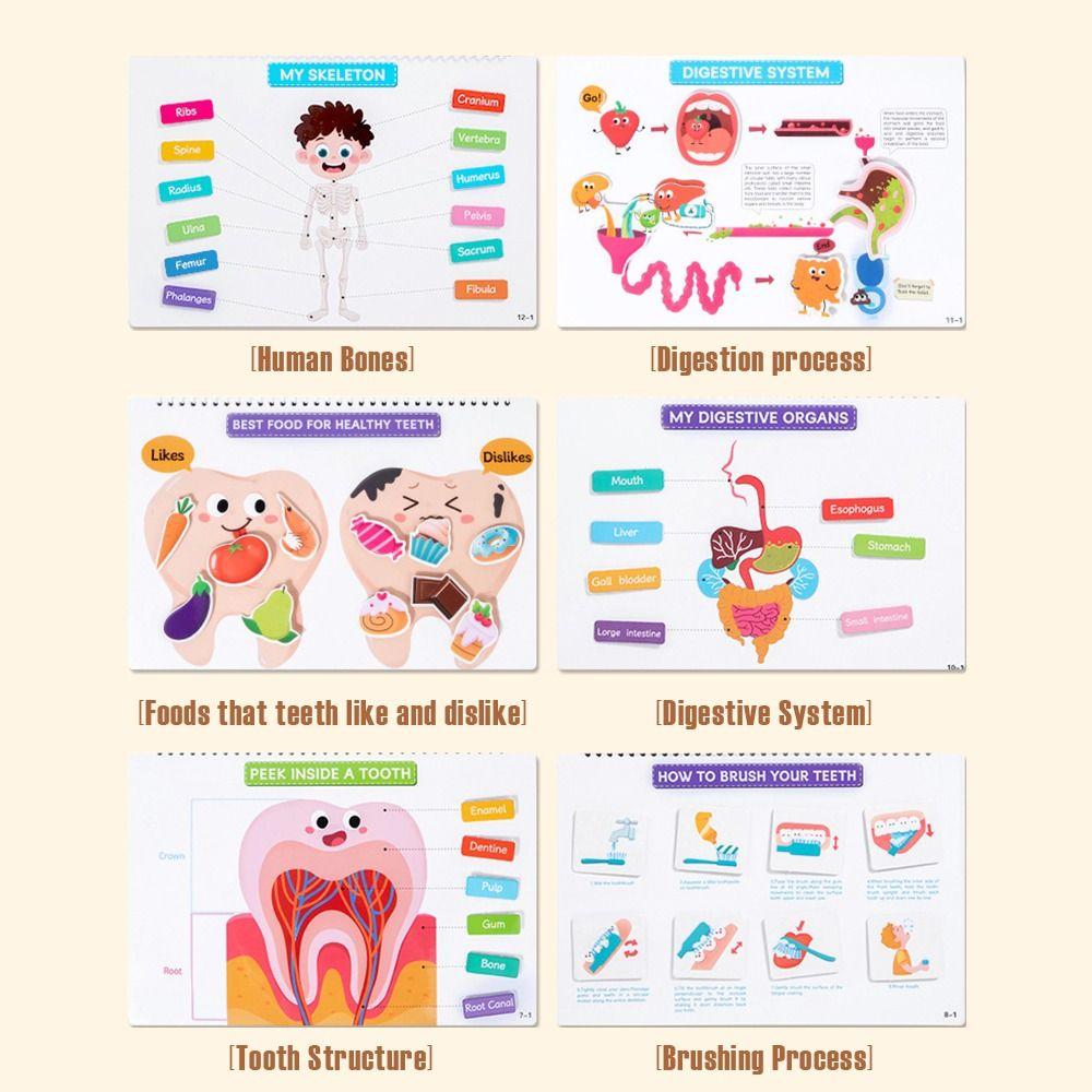 Interactive Learning Body Structure Busy Book Tear Pull Early Education Adhesive Book Enlightenment Book Preschool Learning