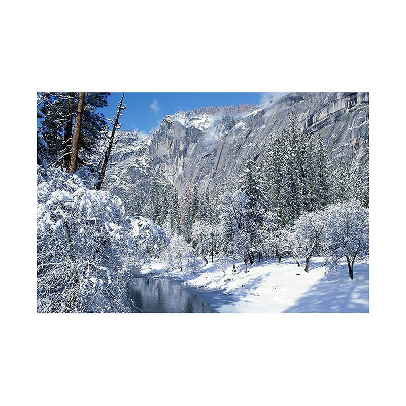 Winter Wonderland Themed Background,Christmas Photography Backdrop,for Parties and Holiday Photography Backdrops,Photo Studio