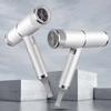 Portable 700W High Speed Hair Dryer Hot And Cold Air Ultra Quiet Negative Ion Hair Dryer With Diffuser