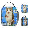 Frutiger Aero Aesthetic Lunch Bag Retro Lunch Box Office Portable Insulated Thermal Tote Handbags For Child Oxford Cooler Bag