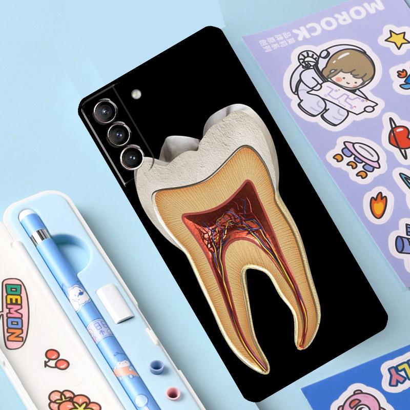 Human Tooth Anatomy Case For Samsung Galaxy S23 S21 S22 Ultra Plus Note 10 20 S8 S9 S10 Plus S20 FE Cover Case